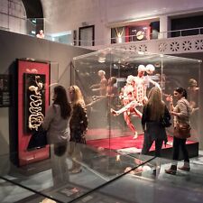 Top 3* Hotel Deal | 3 Tage Reise Gutschein für 2P Kraichgau | inkl. Körperwelten