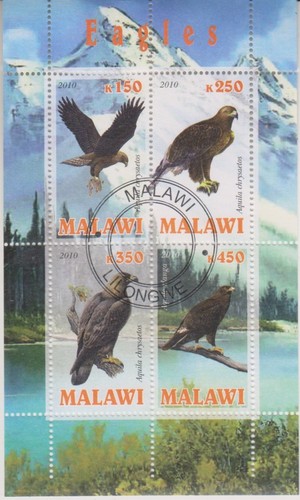 Vögel malawi gestempelt 9597 - gestempelt,
