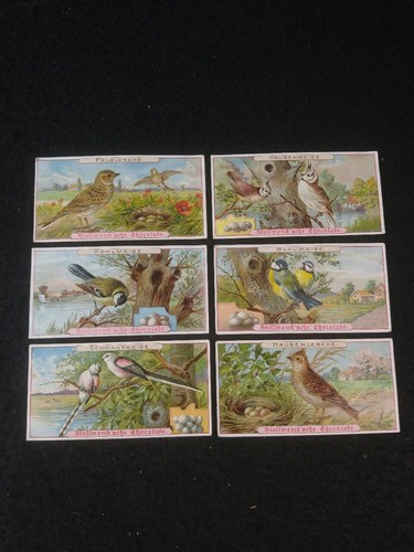 Bilder serie vögel iii - bilder,,