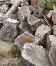 Brennholz, Schnittholz, Stammholz, Abgelagert. Esche Fichte Linde Lieferung mögl