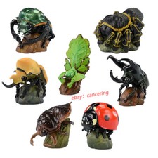 Animal Planet A Series Of