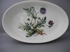 Villeroy & Boch große ovale Auflaufform Vilbofour BOTANICA Ofenfest Kochgeschirr