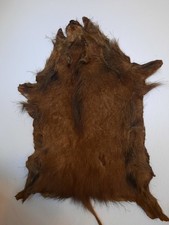 Wildschweinfell Fell 100cm x 70 cm - SChwarte, Decke, Wanddeko 70er Jahre