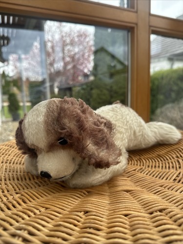 Steiff floppy cockie 7328 - floppy,