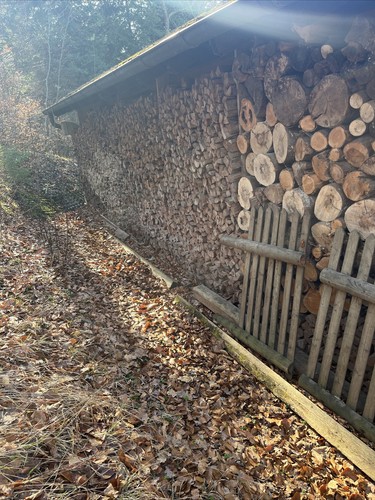 Brennholz kaminholz stammholz - brennholz,