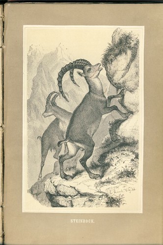 Holzschnitt 1872