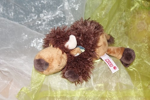 Nici bison büffel - nici,