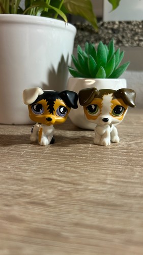 Littlest pet shop - jack, russel