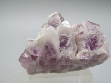 Amethyst (Phanthom) Chemnitz