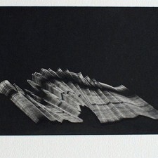 Madeleine heublein form - madeleine,