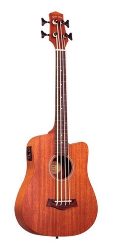 Gold tone bass 25 - m-bass, fl