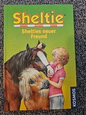 Sheltie, Shelties neuer Freund