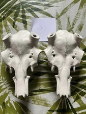 Damhirschschädel, Trophäen