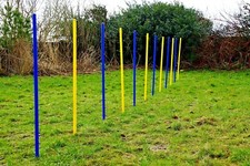 AGILITY-ÜBUNGS-SET in blau /