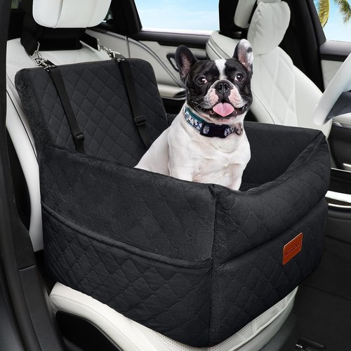 Hundesitz auto kleine mittlere - auto,