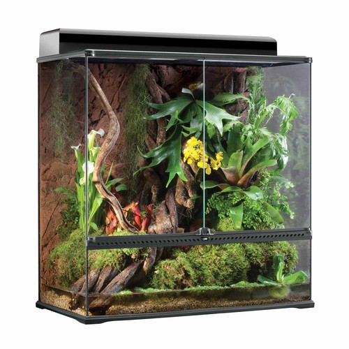 Exo terra terrarium paludarium - terrarium,