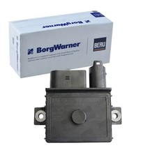 BORGWARNER (BERU)