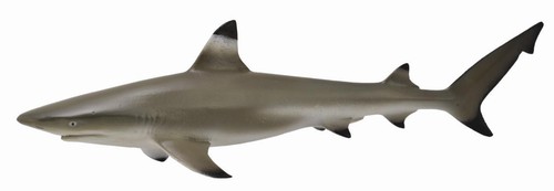 Collecta 88726 schwarzspitzen - 88726,