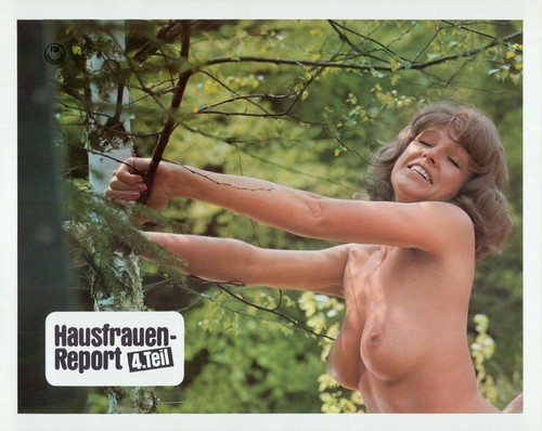 Hausfrauen report teil - hausfrauen-report,