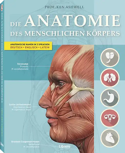 Die anatomie des - die, menschlichen