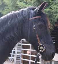 Wunderschöne "Biothane"