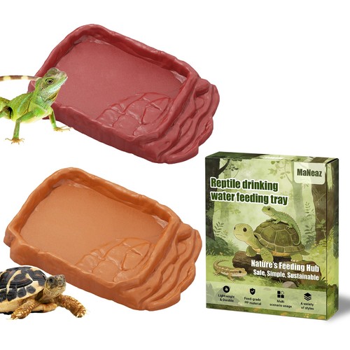 Schildkröten terrarium - schildkröten,