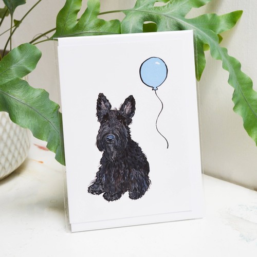Scottish terrier - scottish,