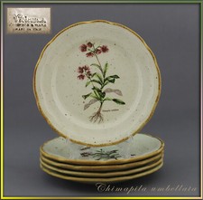 Kuchenteller 21,5cm La Primula  Made in Italy  teller  Chimapila umbellata