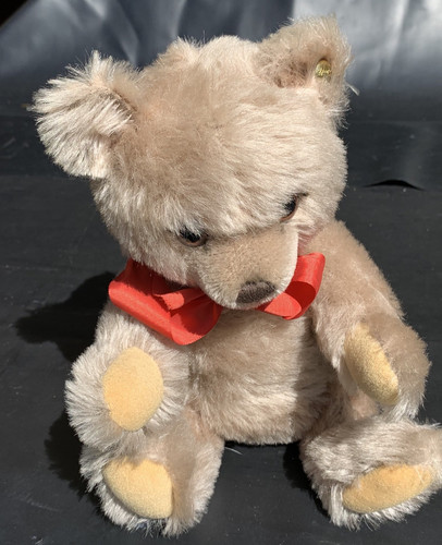 Kuscheliger teddybär - kuscheliger,