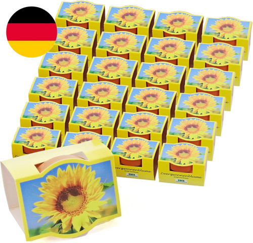 Bull bear 25er set - bear,
