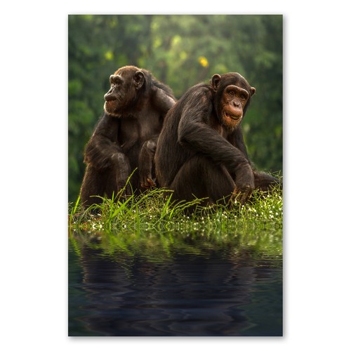 Postereck 2067 poster leinwand - 2067,