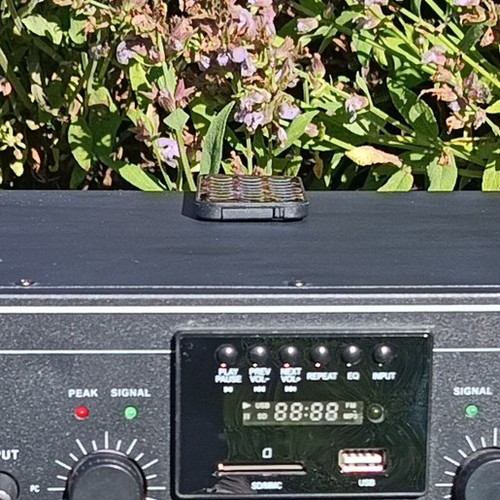 Spl verstärker - 50, –