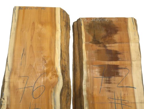 Eibe holz eibenholz - 1x,