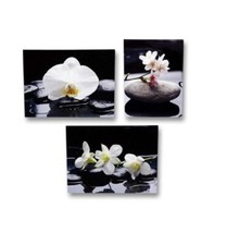 Set wandbild orchidee - orchidee, 30
