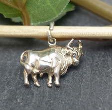 plastischer 925er Silber