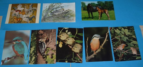 Postkarten tiere pferde - pferde, und