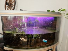 Aquarium Becken mit Zubehör