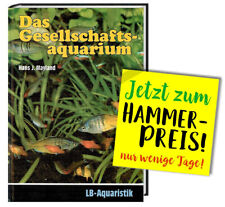 Gesellschaftsaquarium ⋙