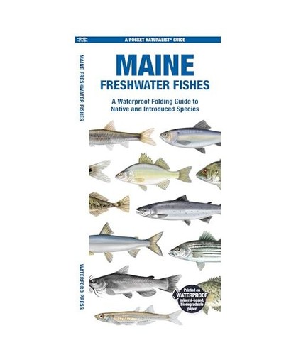 Maine freshwater fishes a - maine,