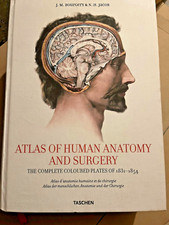 ATLAS DER MENSCHLICHEN