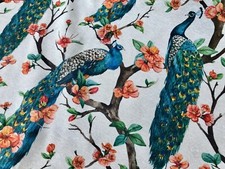 Pfau Vogel Blumen Rosengarten