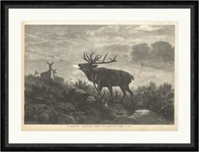 Das Kampfes Ende F. Deiker