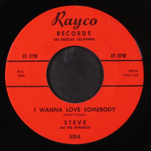 Steve dynamics i wanna love - steve,