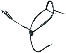 Passier Vorderzeug Marcus Ehning