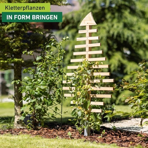 Bausatz rankspalier aus - bausatz,