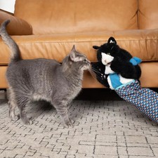 Katzenpuppe Wrestler Spielzeug