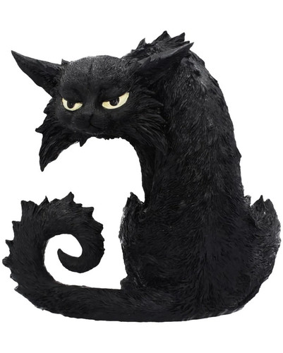 Große spite hexenkatze als - spite,