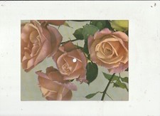 Colorvox 45 Schallbildkarte