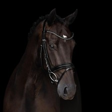 Kieffer trensenzaum grace - trensenzaum,