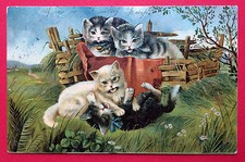 Künstler AK KATZE 1910 Katzen